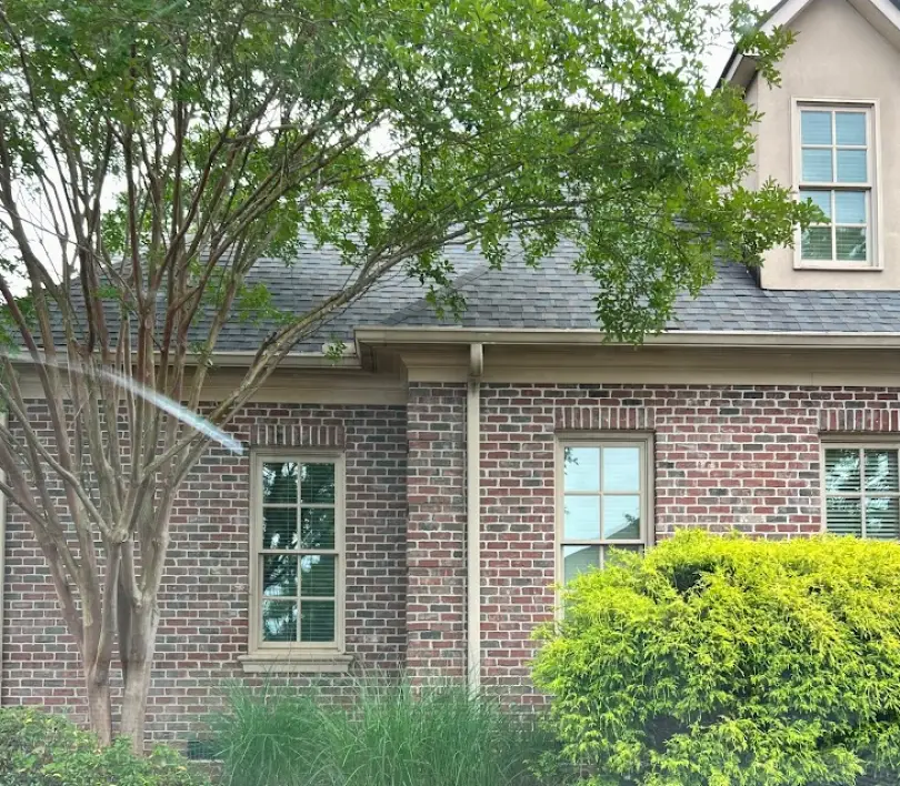 Greer Greenville Endodontics