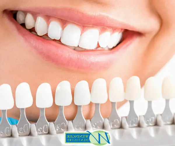  Tampa Weninger Dentistry, PLLC