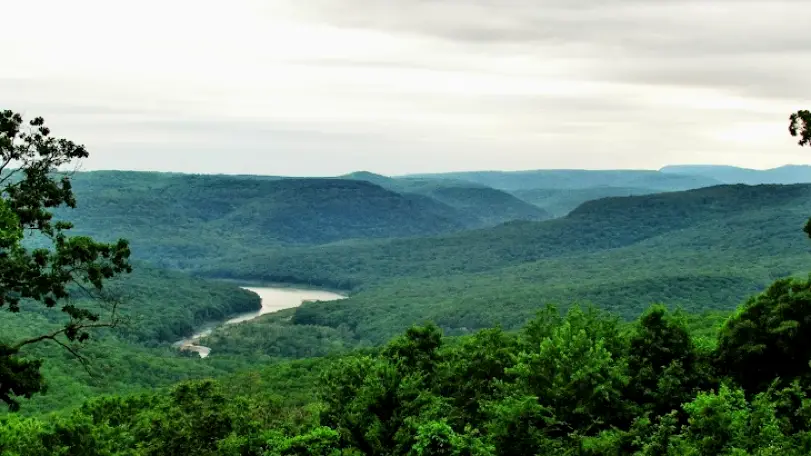 Boston Mountain Rural Health, Inc. - Yellville