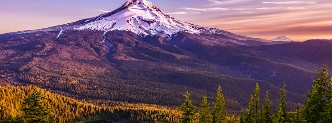 Forest Grove Martin E. Burbano DMD, PC