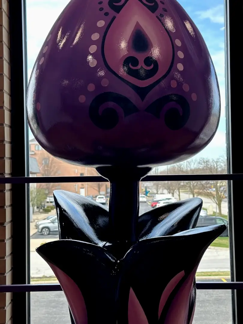 Munster Wadas Dental & Associates, Inc. Amy Wadas, DDS