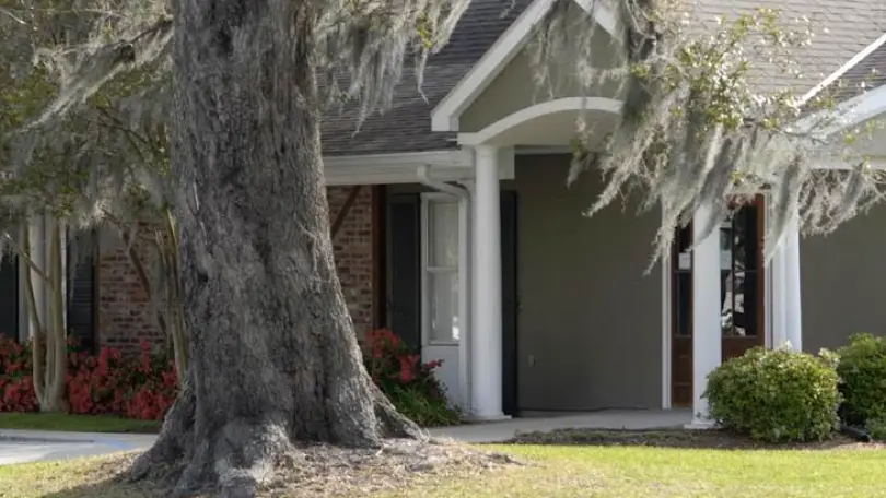 Houma Mark Bilello DDS