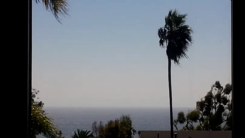 Laguna Beach Dr. Viviane Stein, DDS