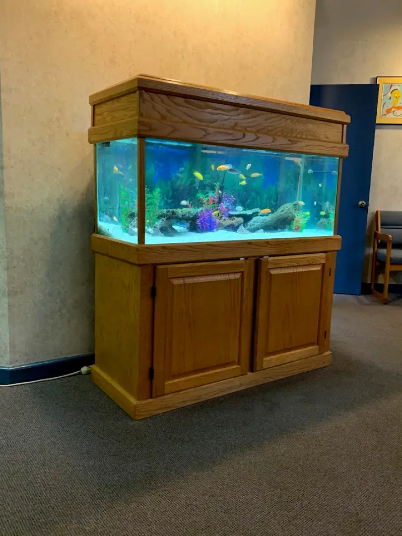  Highland HIGHLAND PEDIATRIC DENTISTRY P.C