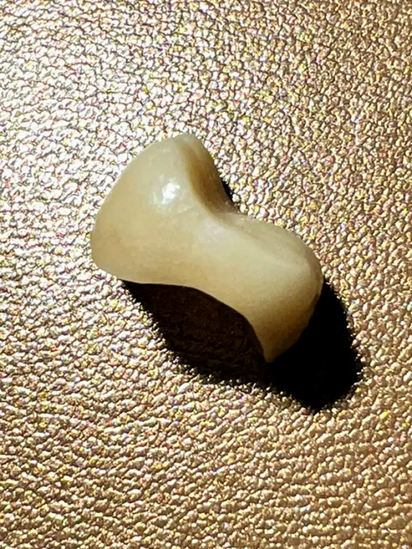 Jasper Sequatchie Valley Dental Associates, PC