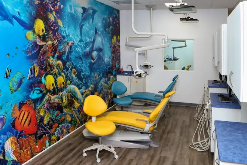  Tampa Lil Sunshine Smiles Dentistry