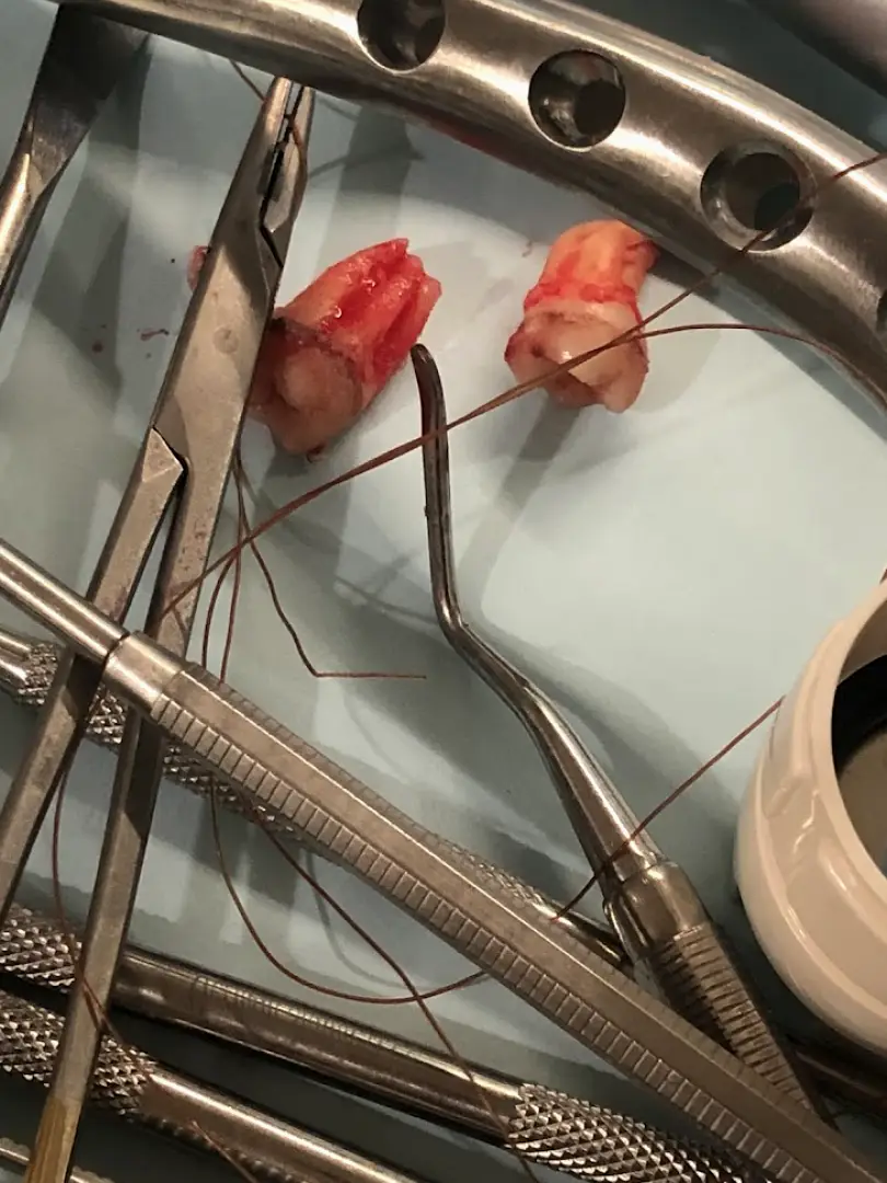 Rosedale Now Dentistry