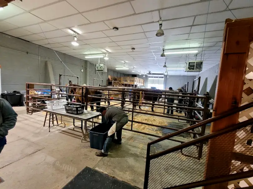 Glenns Ferry Academy of Equine Dentistry