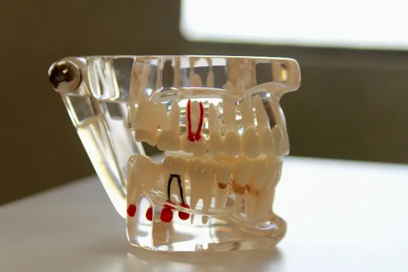 Sarasota BayView Dental Associates