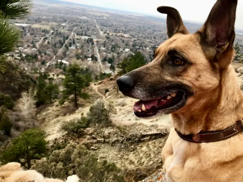 Boulder Canyon Dental