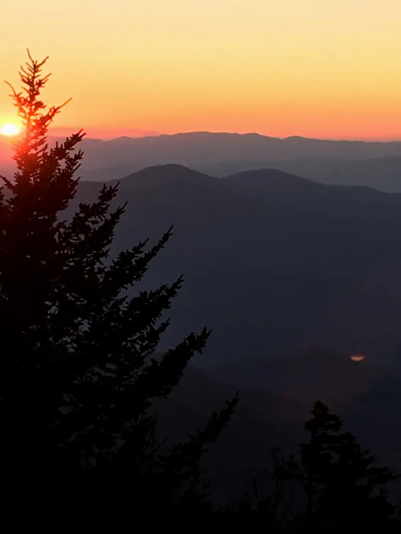 East Tennessee Oral & Maxillofacial Surgery - Knoxville North