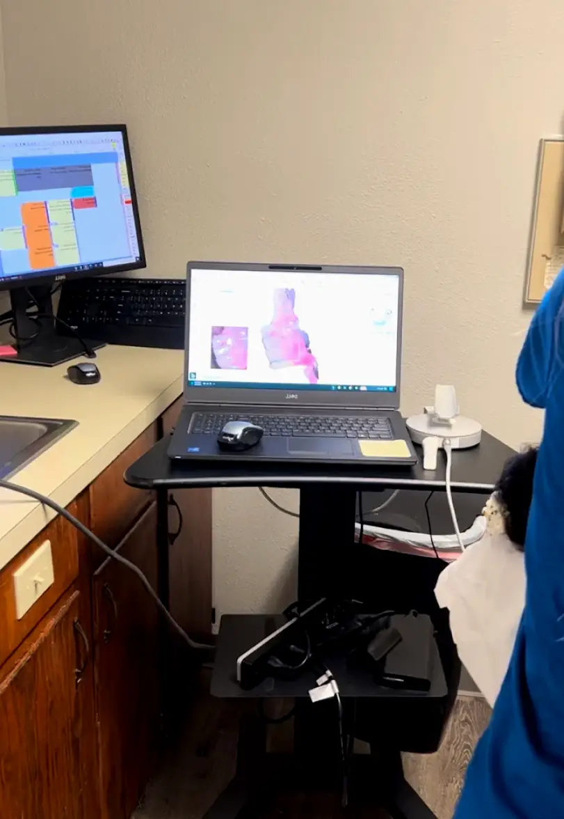 Vinton Dental One
