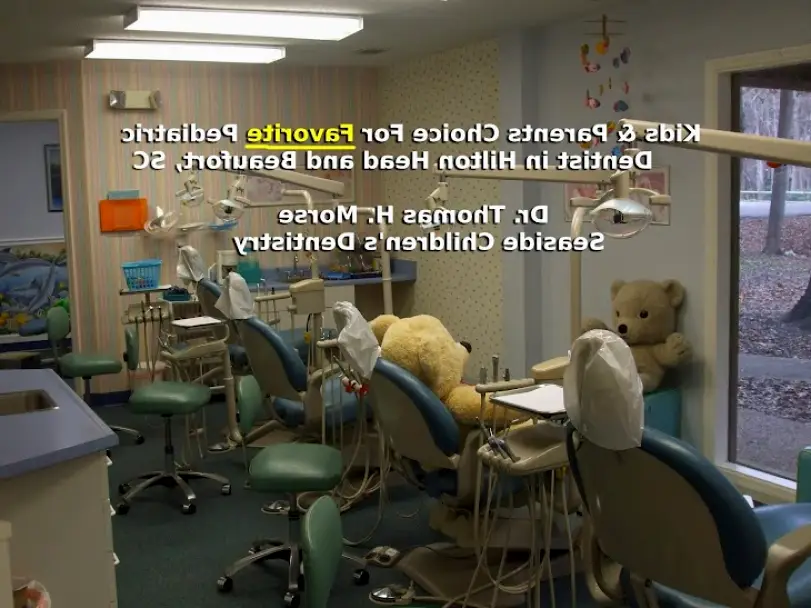Hilton Head Island Seaside Childrens Dentistry