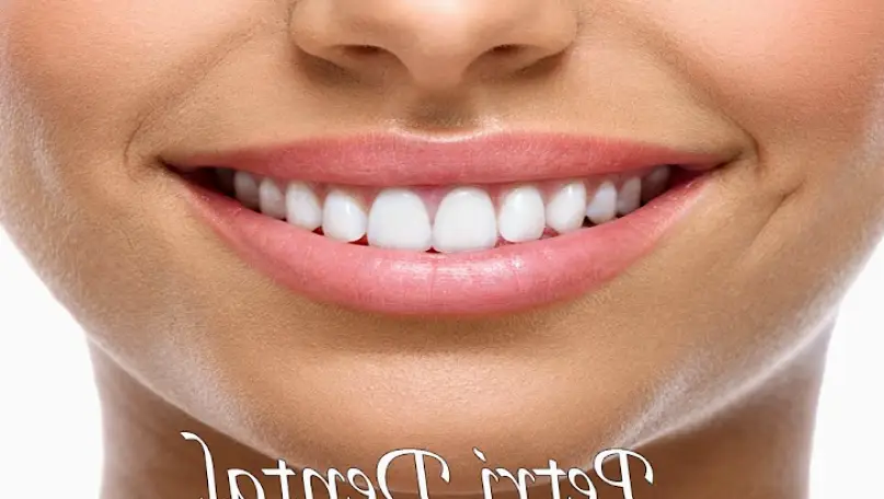  Orange Petri Dental