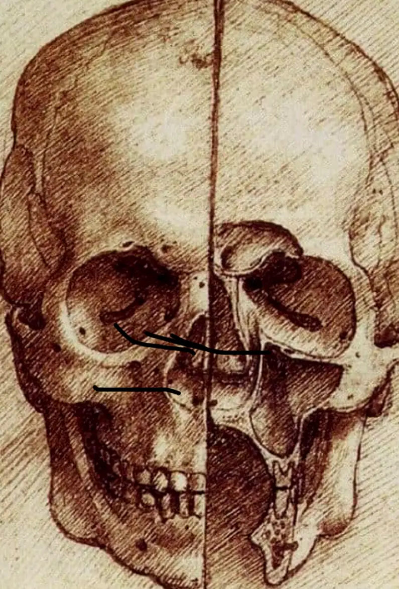 Albany Oral Maxillofacial Surgery Group