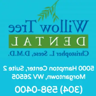 Morgantown Willow Tree Dental, Christopher Seese, DDS