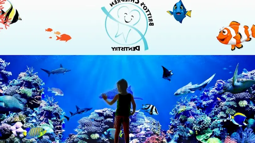 Woodbridge Britto's Children's Dentistry
