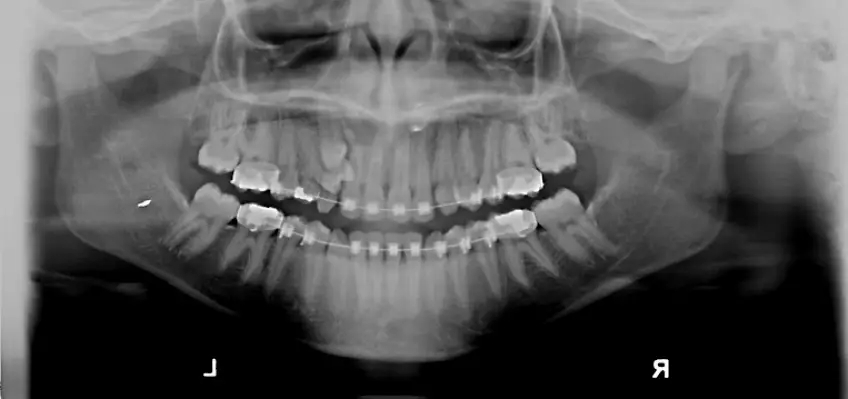 Jersey City Jersey Dental Arts, P.A.