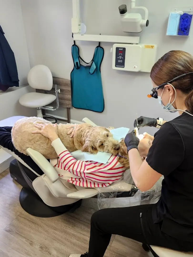 Norwich Archer Dental