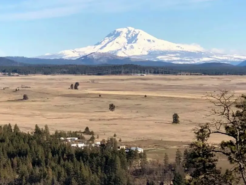 Goldendale Dental - Kent Large DMD