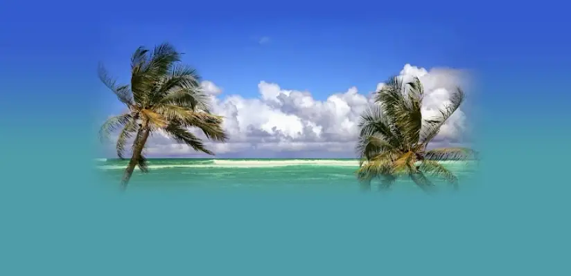 Holmes Beach Island Dental Spa