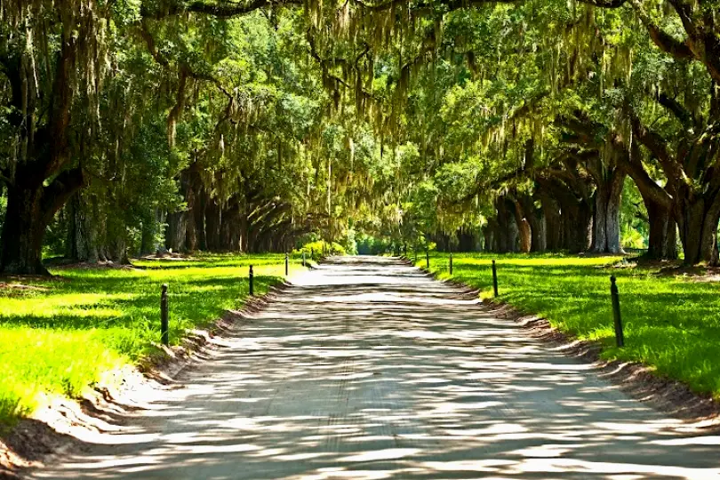 Spartanburg Periodontics: Richard W. Graham, DDS