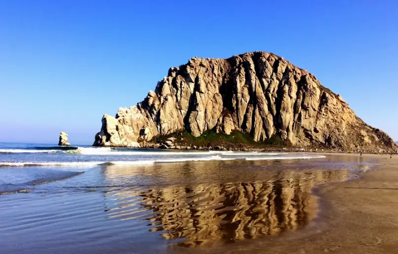 Morro Bay Scott Taylor DDS -- Pure Simple Dental