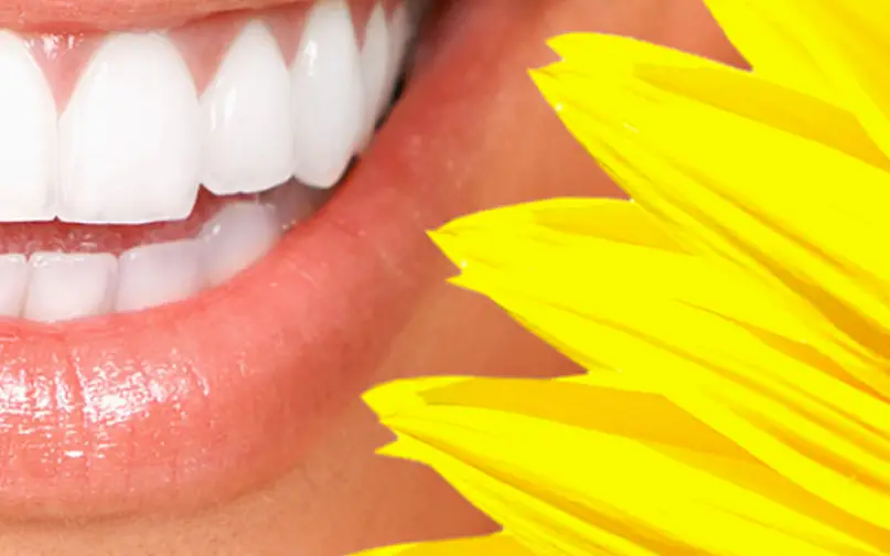 Tustin Dentistry Blossom