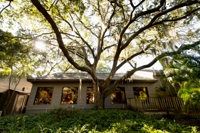 Clearwater Countryside Oaks Dental