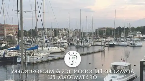 Advanced Endodontics & Microsurgery of Stamford PC