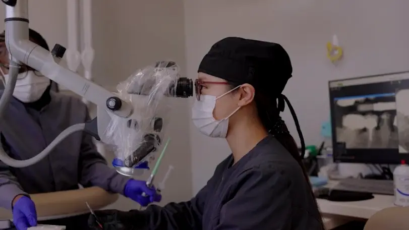 Rosedale Sterling Endodontics