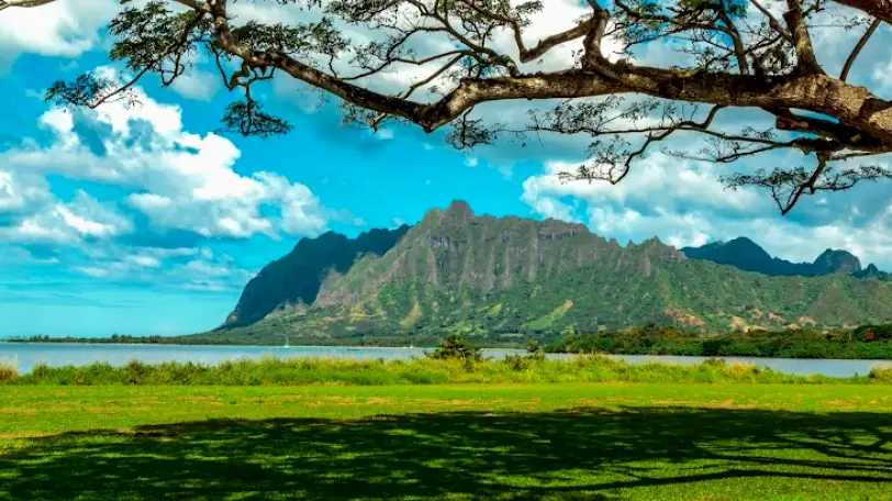 Kailua Aloha Foot Centers