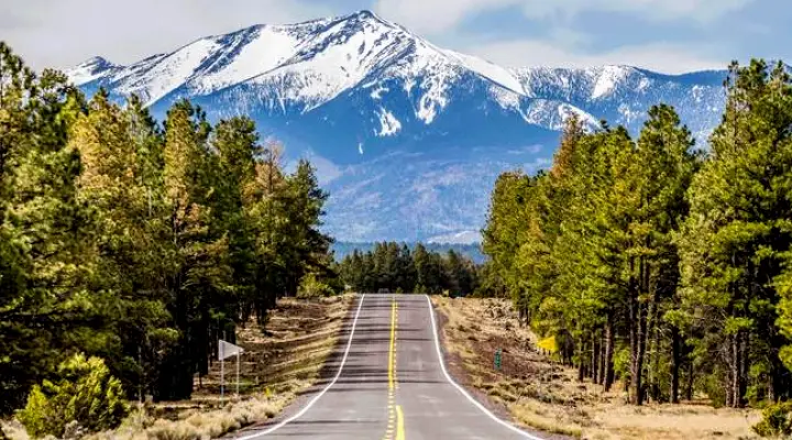 Flagstaff Bryan J. Shanahan, DDS
