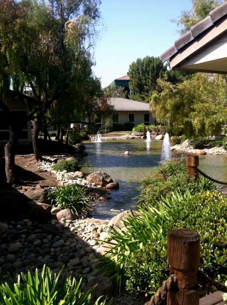 Milpitas Dr David Marshall