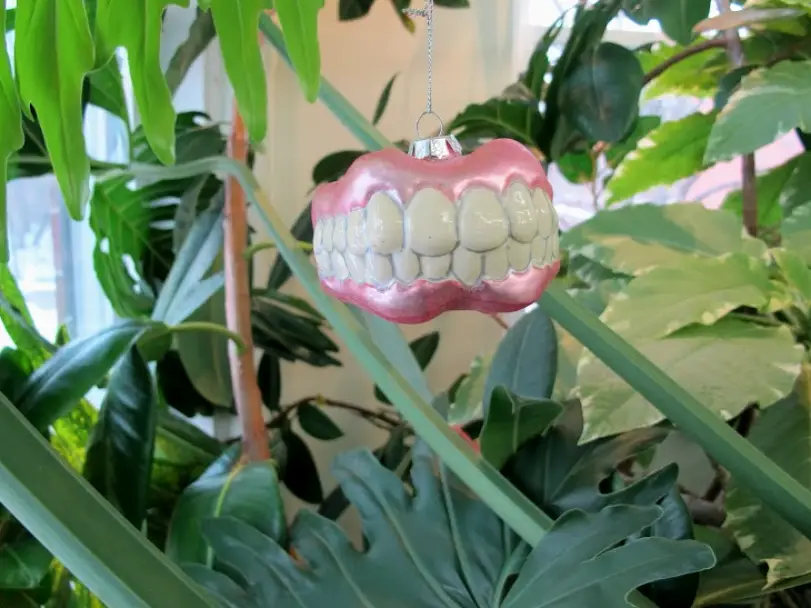 Bannockburn Dental Group: Dr. Andrew P. Wyshnytzky, DDS