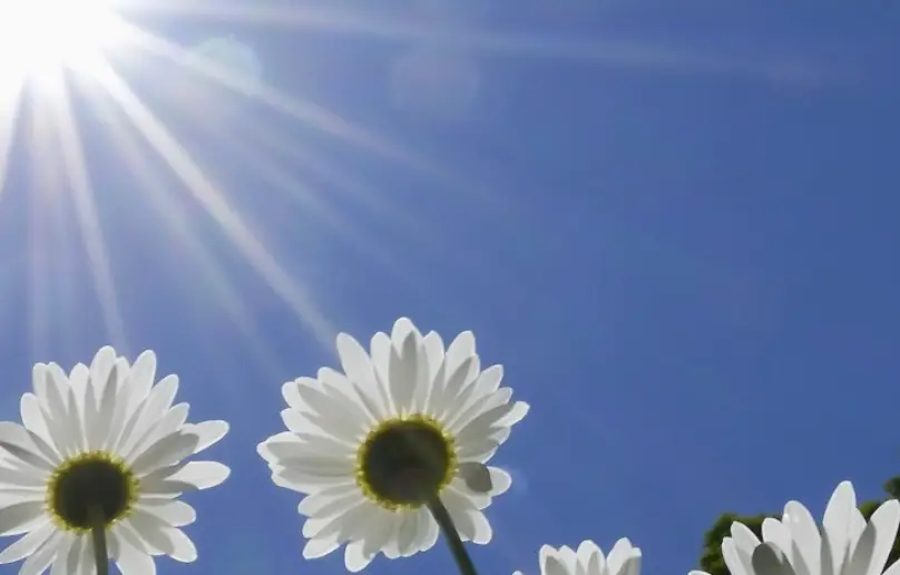 South Burlington Vermont Orofacial Pain Associates