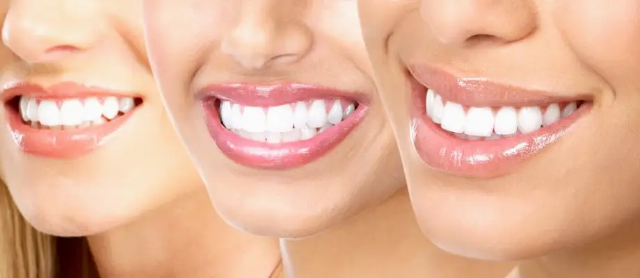  Macomb MCDental Care, PLLC