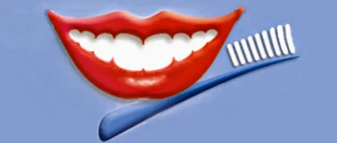  Flushing Elmhurst Dental