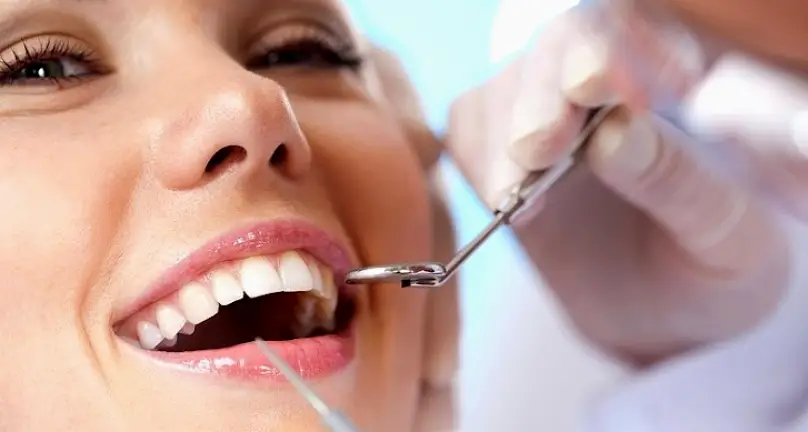 Fort Collins Boone Brewer, DDS