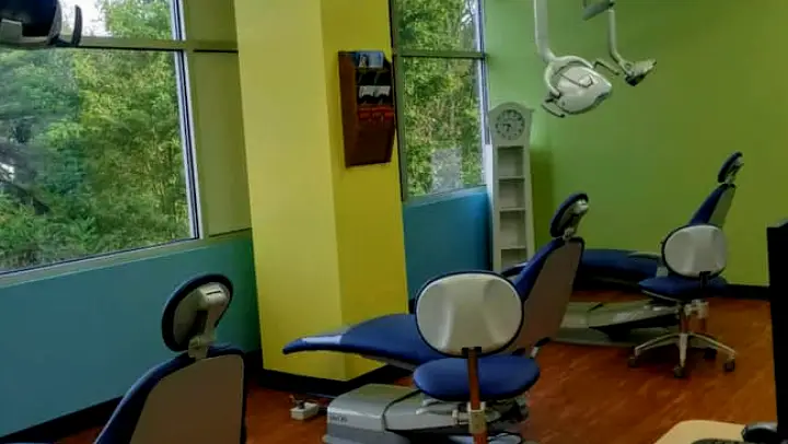  McMurray Lanz Pediatric Dentistry