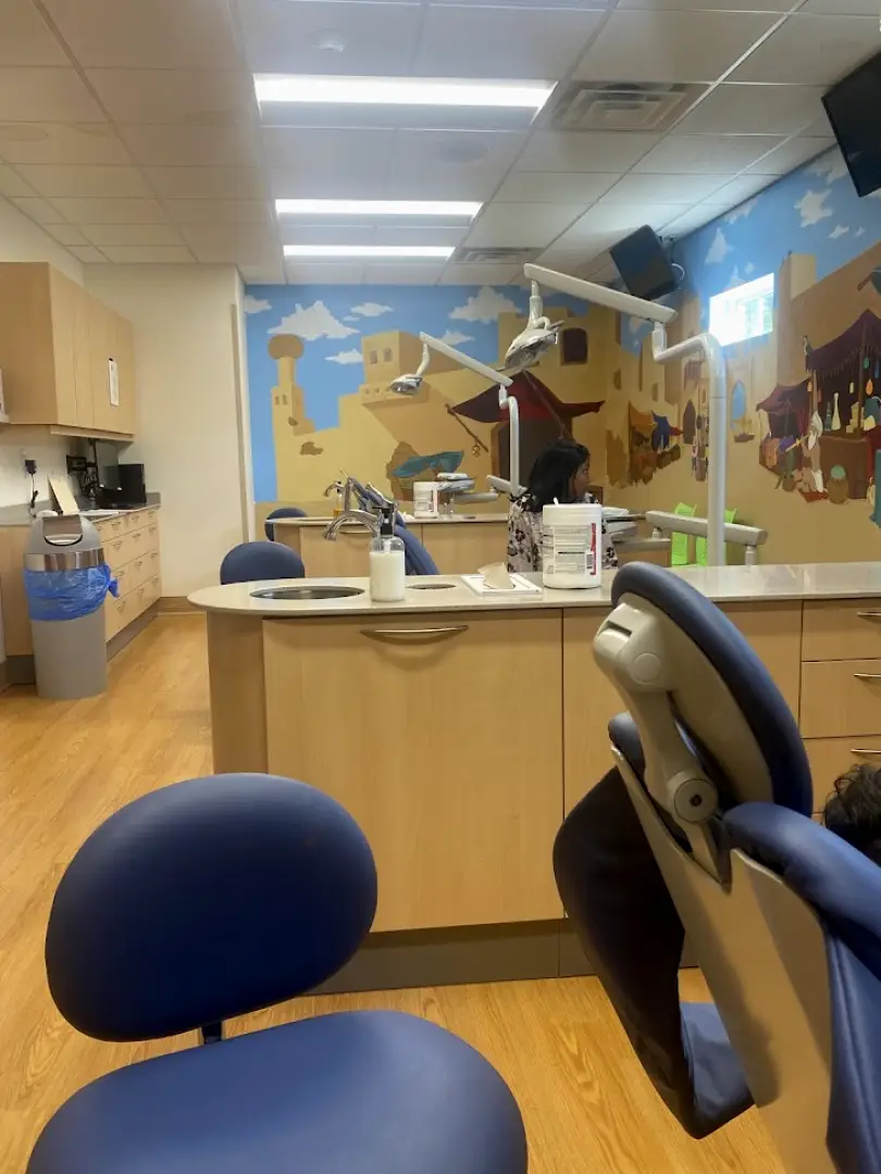 Niskayuna Farzad Sani, DDS