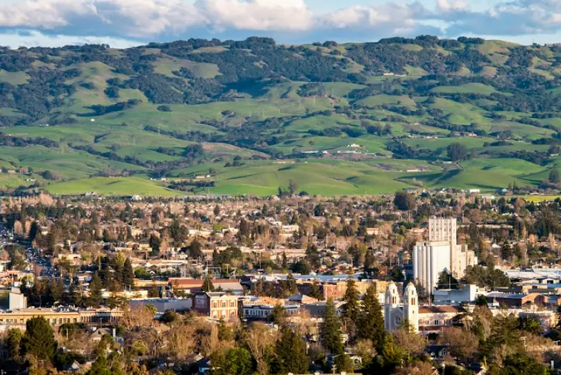 Petaluma Negar Safapour, DDS