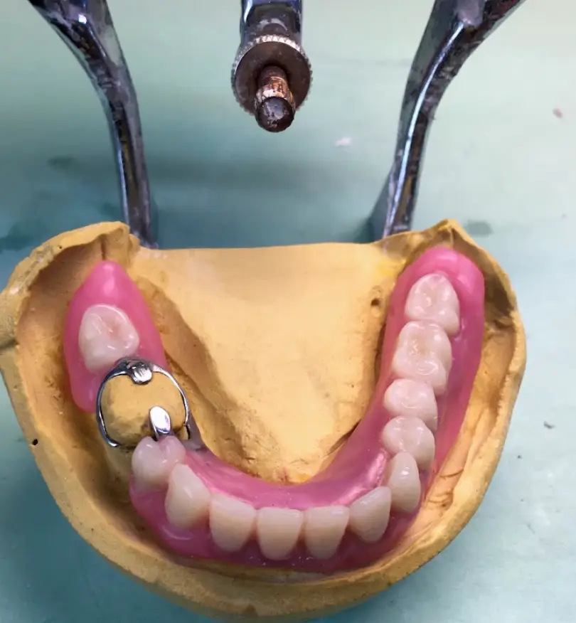 Bay Shore BOLI DENTAL LABORATORY