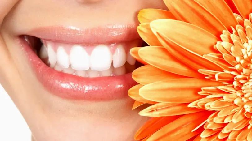  Los Angeles Larchmont Dental Associates