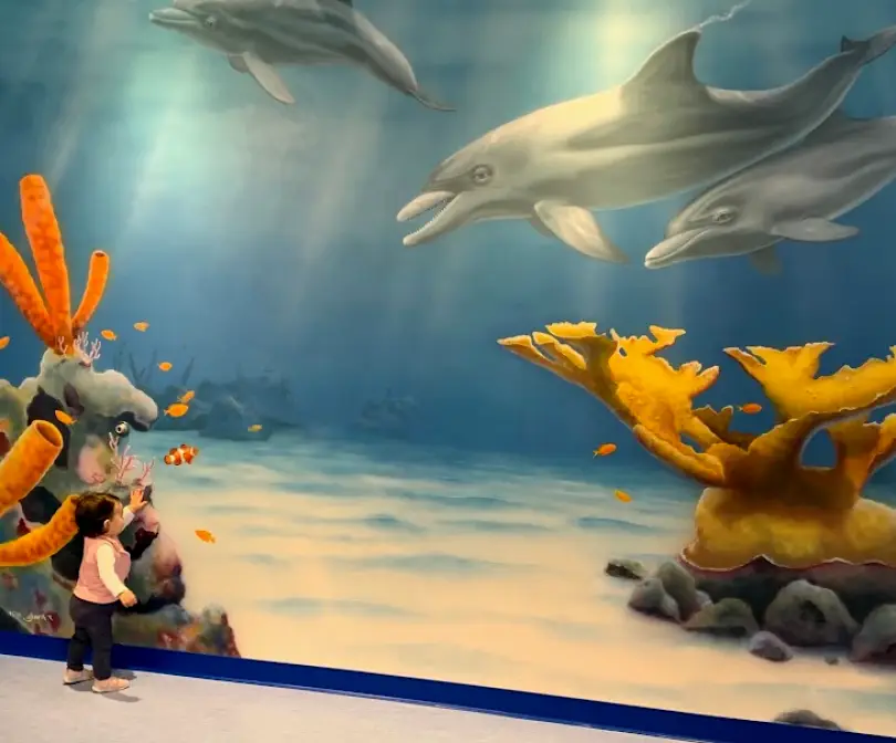 El Cajon Grace Children's Dentistry