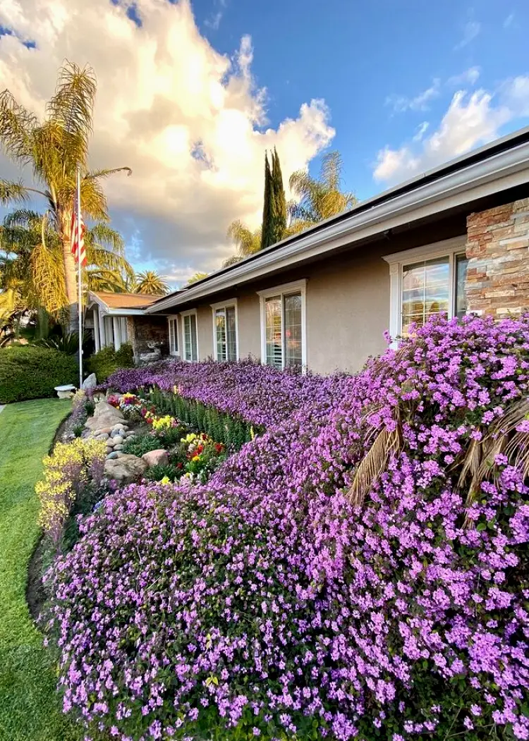 Kingsburg Smile Center