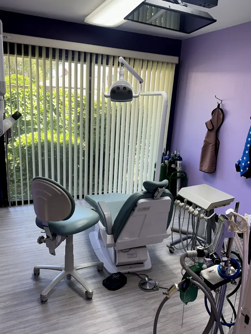 Tooth Fairy Dental Center Woodland: Dr. Sucheta Amanjee, DDS