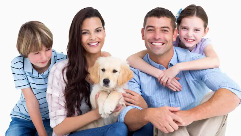 Downey Dental Solutions