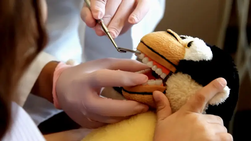 San Jose Bay Area Kids Dentistry