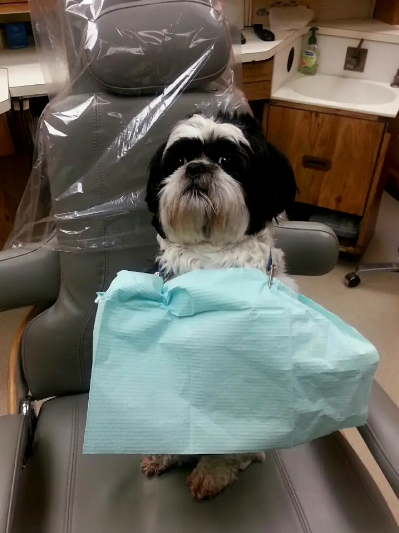 Forks Family Dental